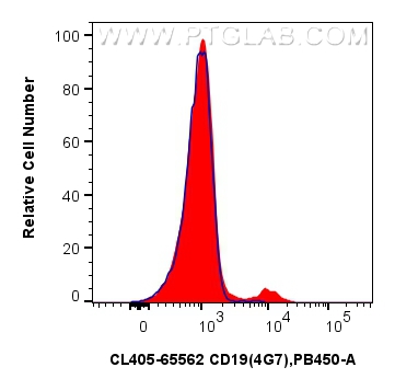 CD19