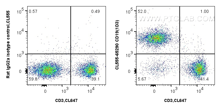 Flow cytometry (FC) experiment of C57BL/6 mouse splenocytes using CoraLite® Plus 555 Anti-Mouse CD19 (1D3) (CL555-65290)