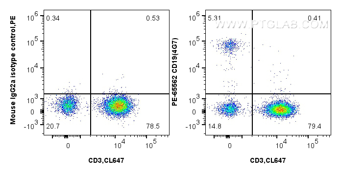 Flow cytometry (FC) experiment of human PBMCs using PE Anti-Human CD19 (4G7) Mouse IgG2a Recombinant A (PE-65562)