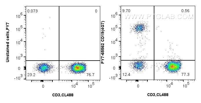 Flow cytometry (FC) experiment of human peripheral blood lymphocytes using PE-Cyanine7 Anti-Human CD19 (4G7) Mouse IgG2a Reco (PY7-65562)