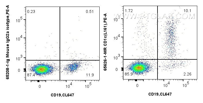 CD1c