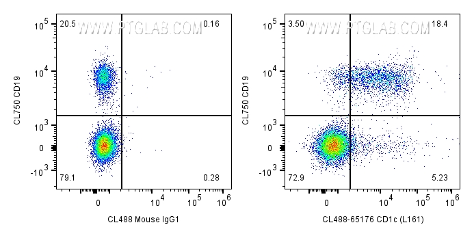 Flow cytometry (FC) experiment of human PBMCs using CoraLite® Plus 488 Anti-Human CD1c (L161) (CL488-65176)