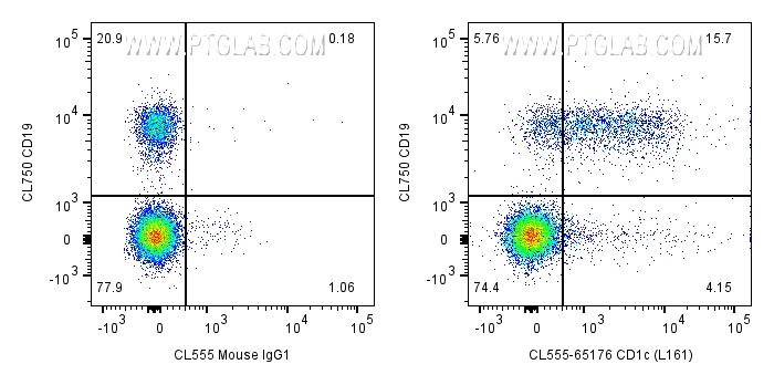 Flow cytometry (FC) experiment of human PBMCs using CoraLite® Plus 555 Anti-Human CD1c (L161) (CL555-65176)