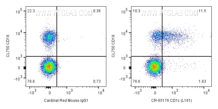 Flow cytometry (FC) experiment of human PBMCs using Cardinal Red™ Anti-Human CD1c (L161) (CR-65176)