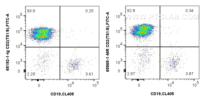 Flow cytometry (FC) experiment of human PBMCs using Anti-Human  CD2 (TS1/8) Mouse IgG2a Recombinant An (65565-1-MR)