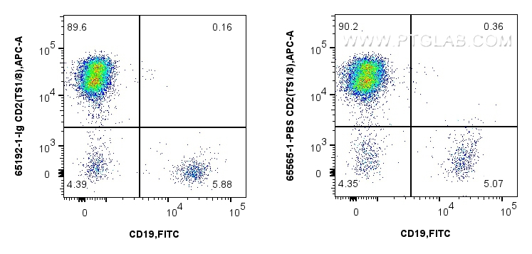 Flow cytometry (FC) experiment of human PBMCs using Anti-Human CD2 (TS1/8) Mouse IgG2a Recombinant Ant (65565-1-PBS)
