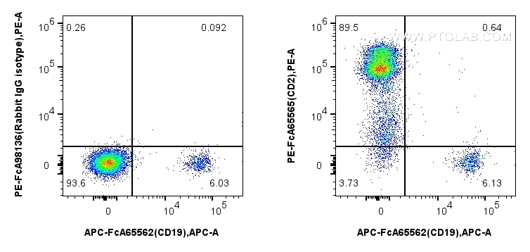 Flow cytometry (FC) experiment of human PBMCs using FcZero-rAb™ PE Anti-Human  CD2 (TS1/8) Rabbit IgG  (PE-FcA65565)
