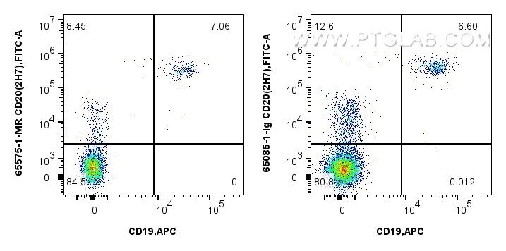 Flow cytometry (FC) experiment of human PBMCs using Anti-Human CD20 (2H7) Mouse IgG2a Recombinant Anti (65575-1-MR)