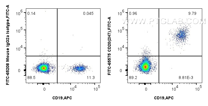 Flow cytometry (FC) experiment of human PBMCs using FITC Plus Anti-Human CD20 (2H7) Mouse IgG2a Recomb (FITC-65575)