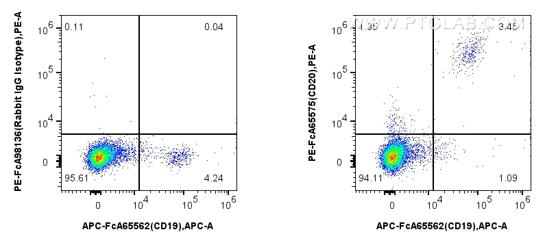 Flow cytometry (FC) experiment of human PBMCs using FcZero-rAb™ PE Anti-Human CD20 (2H7) Rabbit IgG Re (PE-FcA65575)