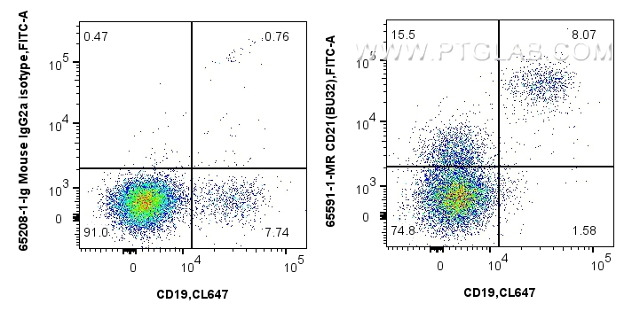 Flow cytometry (FC) experiment of human PBMCs using Anti-Human CD21 (BU32) Mouse IgG2a Recombinant Ant (65591-1-MR)