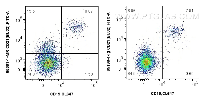Flow cytometry (FC) experiment of human PBMCs using Anti-Human CD21 (BU32) Mouse IgG2a Recombinant Ant (65591-1-MR)