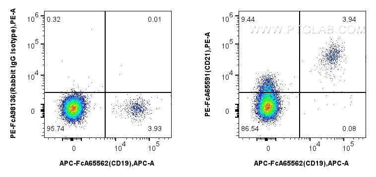 Flow cytometry (FC) experiment of human PBMCs using FcZero-rAb™ PE Anti-Human CD21 (BU32) Rabbit IgG R (PE-FcA65591)