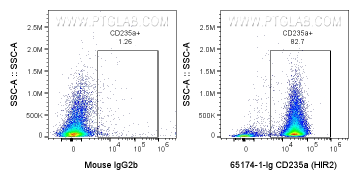 Flow cytometry (FC) experiment of human peripheral blood tissue using Anti-Human CD235a (HIR2) (65174-1-Ig)