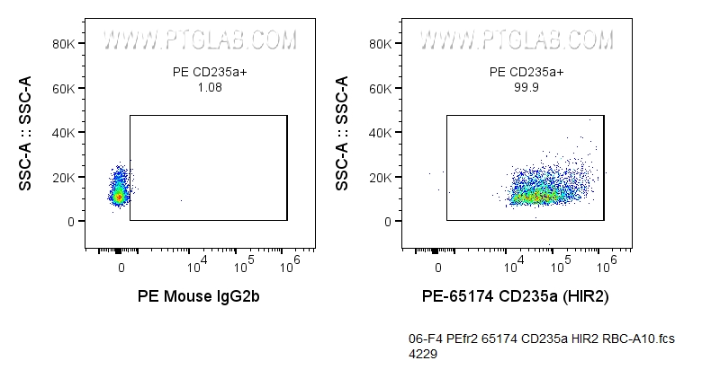 Flow cytometry (FC) experiment of human red blood cells using PE Anti-Human CD235a (HIR2) (PE-65174)