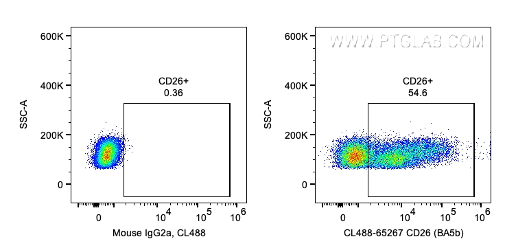 Flow cytometry (FC) experiment of human PBMCs using CoraLite® Plus 488 Anti-Human CD26 (BA5b) (CL488-65267)