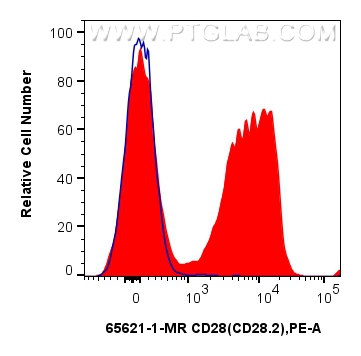 CD28