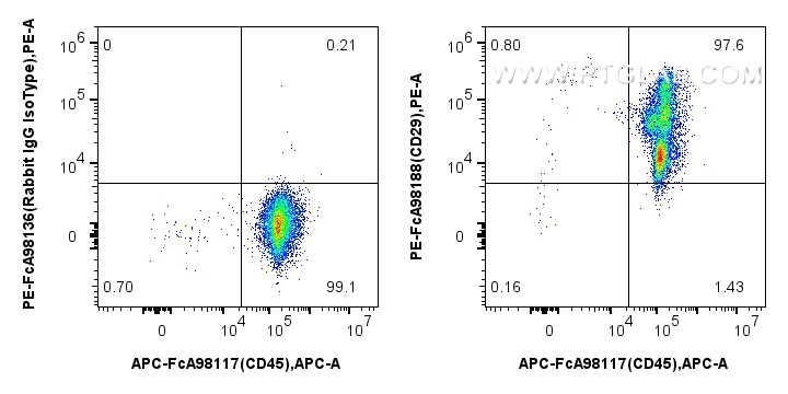 Flow cytometry (FC) experiment of human PBMCs using FcZero-rAb™ PE Anti-Human CD29 Rabbit Recombinant  (PE-FcA98188)