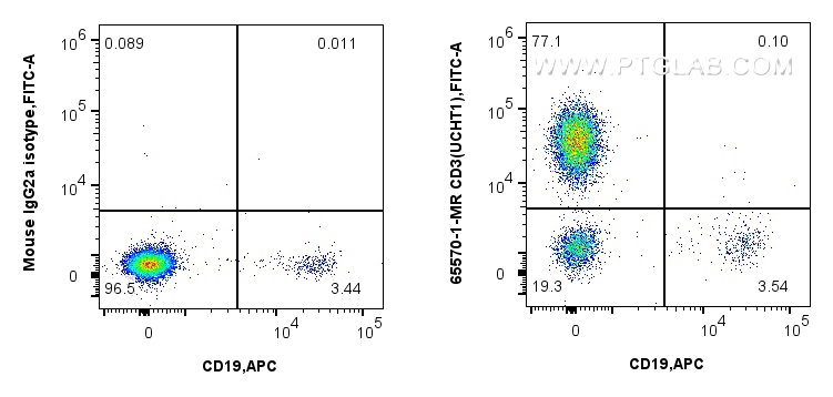 Flow cytometry (FC) experiment of human PBMCs using Anti-Human CD3 (UCHT1) Mouse Recombinant Antibody (65570-1-MR)