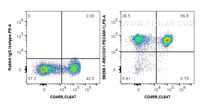 Flow cytometry (FC) experiment of mouse splenocytes using Anti-Mouse CD31 Rabbit Recombinant Antibody (98258-1-RR)
