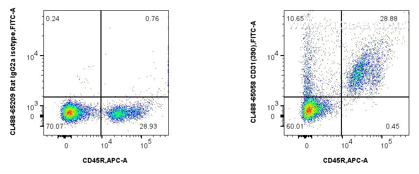 Flow cytometry (FC) experiment of mouse bone marrow cells using CoraLite® Plus 488 Anti-Mouse CD31 (390) (CL488-65058)