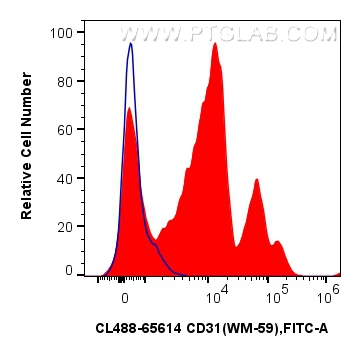Flow cytometry (FC) experiment of human PBMCs using CoraLite® Plus 488 Anti-Human CD31 (WM-59) Mouse I (CL488-65614)