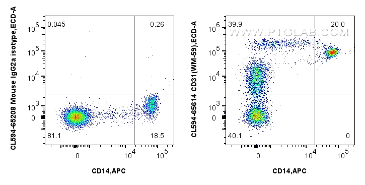 Flow cytometry (FC) experiment of human PBMCs using CoraLite®594 Anti-Human CD31 (WM-59) Mouse IgG2a R (CL594-65614)