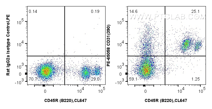 Flow cytometry (FC) experiment of mouse bone marrow cells using PE Anti-Mouse CD31 (390) (PE-65058)