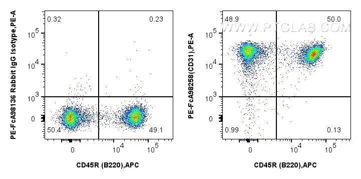 Flow cytometry (FC) experiment of mouse splenocytes using FcZero-rAb® PE Anti-Mouse CD31 Rabbit Recombinant (PE-FcA98258)