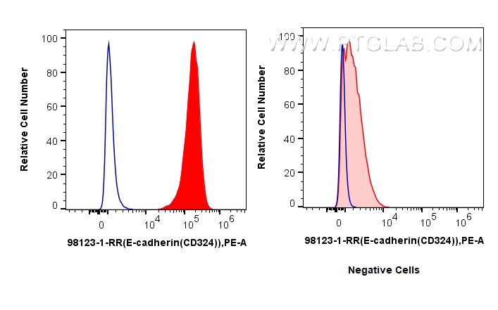 Flow cytometry (FC) experiment of MCF-7 cells using Anti-Human CD324 (E-cadherin) Rabbit Recombinant A (98123-1-RR)