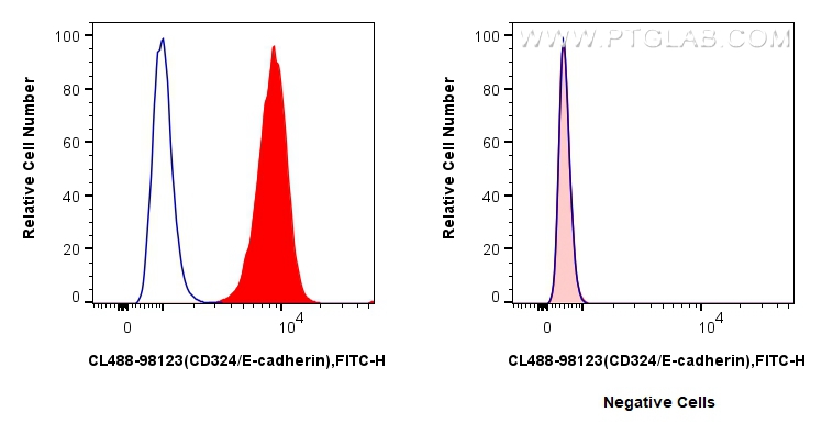 Flow cytometry (FC) experiment of HT-29 cells using CoraLite® Plus 488 Anti-Human CD324 (E-cadherin) R (CL488-98123)