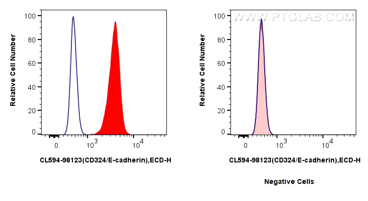 Flow cytometry (FC) experiment of HT-29 cells using CoraLite®594 Anti-Human CD324 (E-cadherin) Rabbit  (CL594-98123)