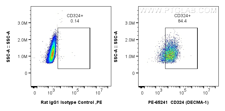 Flow cytometry (FC) experiment of MDCK cells using PE Anti-Mouse CD324 (E-cadherin) (DECMA-1) (PE-65241)