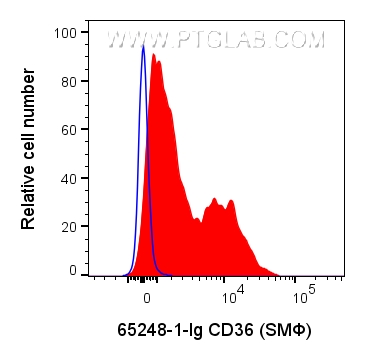 Flow cytometry (FC) experiment of human peripheral blood platelets using Anti-Human CD36 (SMΦ) (65248-1-Ig)