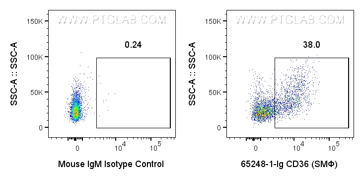 Flow cytometry (FC) experiment of human peripheral blood platelets using Anti-Human CD36 (SMΦ) (65248-1-Ig)