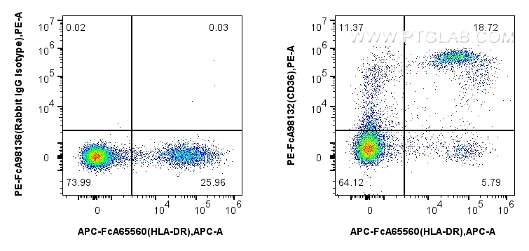 Flow cytometry (FC) experiment of human PBMCs using FcZero-rAb™ PE Anti-Human CD36 Rabbit Recombinant  (PE-FcA98132)