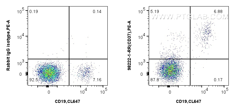 Flow cytometry (FC) experiment of human PBMCs using Anti-Human CD37 Rabbit Recombinant Antibody (98222-1-RR)