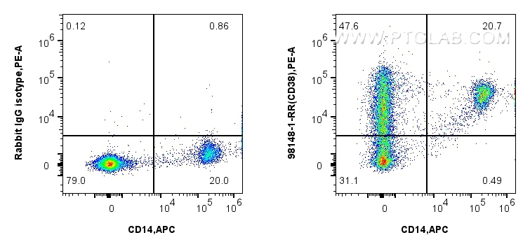 Flow cytometry (FC) experiment of human PBMCs using Anti-Human CD38 Rabbit Recombinant Antibody (98148-1-RR)