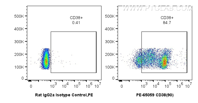 Flow cytometry (FC) experiment of mouse splenocytes using PE Anti-Mouse CD38 (90) (PE-65059)