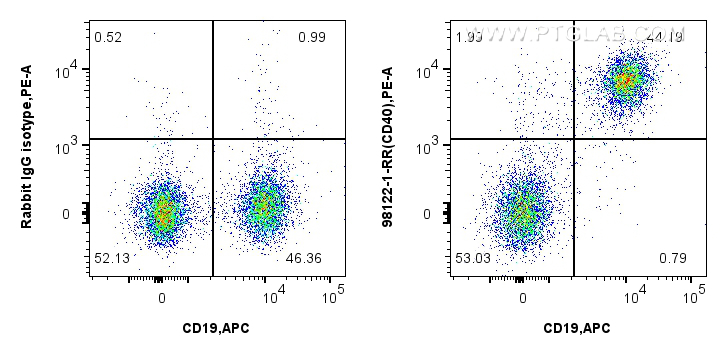 Flow cytometry (FC) experiment of mouse splenocytes using Anti-Mouse CD40 Rabbit Recombinant Antibody (98122-1-RR)