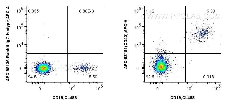 Flow cytometry (FC) experiment of human PBMCs using APC Anti-Human CD40 Rabbit Recombinant Antibody (APC-98191)