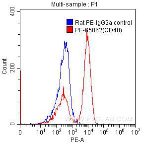 Flow cytometry (FC) experiment of mouse splenocytes using PE Anti-Mouse CD40 (1C10) (PE-65062)