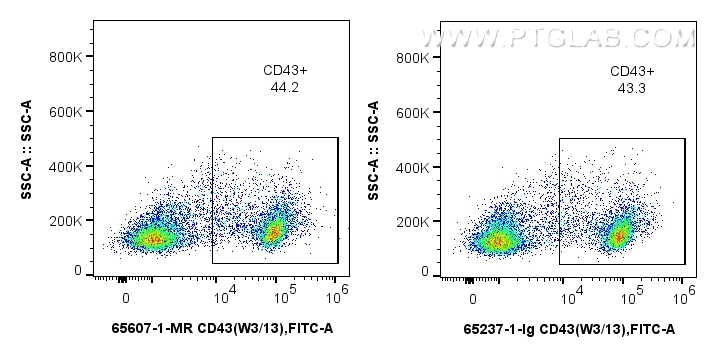 Flow cytometry (FC) experiment of rat splenocytes cells using Anti-Rat CD43 (W3/13) Mouse IgG2a Recombinant Anti (65607-1-MR)