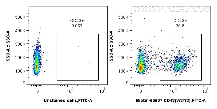 Flow cytometry (FC) experiment of rat splenocytes cells using Biotin Anti-Rat CD43 (W3/13) Mouse IgG2a Recombina (Biotin-65607)