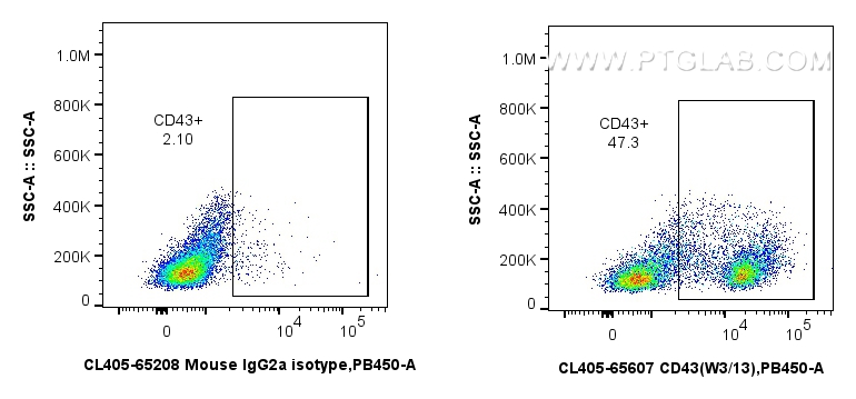 Flow cytometry (FC) experiment of rat splenocytes cells using CoraLite® Plus 405 Anti-Rat CD43 (W3/13) Mouse IgG (CL405-65607)