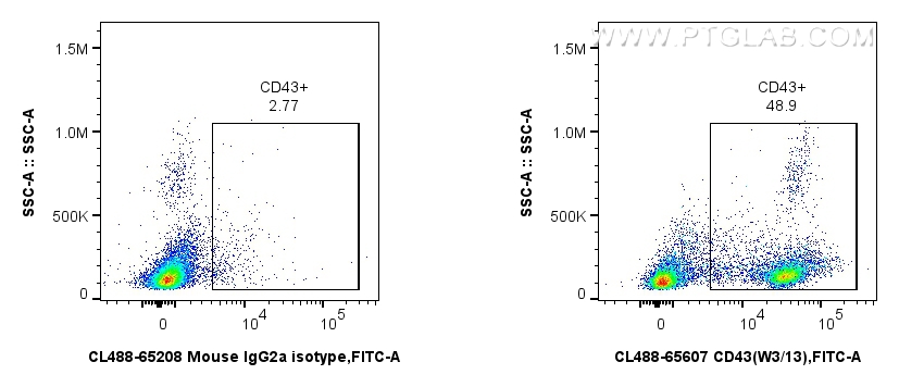 Flow cytometry (FC) experiment of rat splenocytes cells using CoraLite® Plus 488 Anti-Rat CD43 (W3/13) Mouse IgG (CL488-65607)