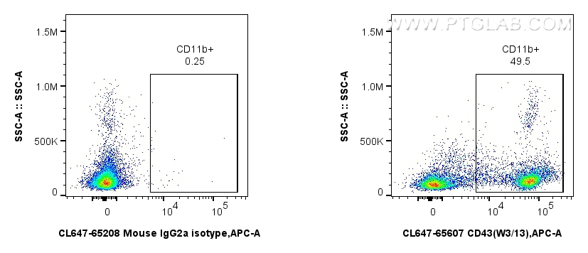 Flow cytometry (FC) experiment of rat splenocytes cells using CoraLite® Plus 647 Anti-Rat CD43 (W3/13) Mouse IgG (CL647-65607)