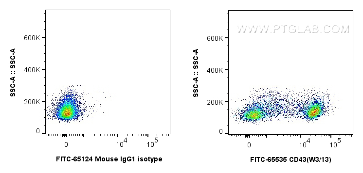 Flow cytometry (FC) experiment of rat splenocytes cells using FITC Plus Anti-Rat CD43 (W3/13) Mouse Recombinant  (FITC-65535)