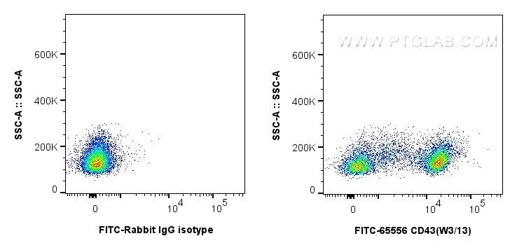 Flow cytometry (FC) experiment of rat splenocytes cells using FITC Plus Anti-Rat CD43 (W3/13) Rabbit Recombinant (FITC-65556)