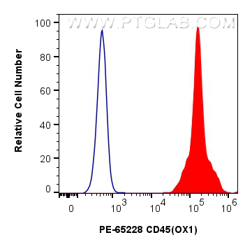 Flow cytometry (FC) experiment of rat splenocytes cells using PE Anti-Rat CD45 (OX1) (PE-65228)